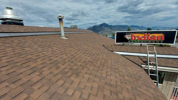 Avid Roof Solutions