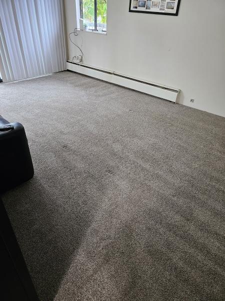 Alpha Carpet & Duct Cleaning