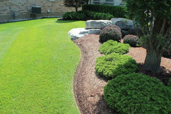 Snider Turf and Landscaping Care Ltd.