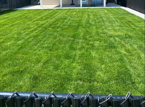 Green City (Lawn Care & Landscaping Calgary)