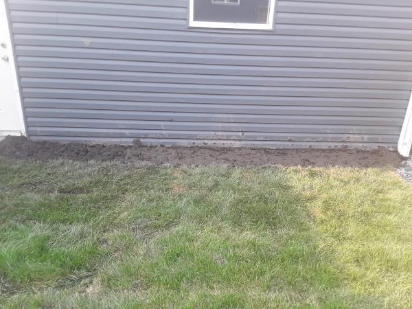 Green City (Lawn Care & Landscaping Calgary)