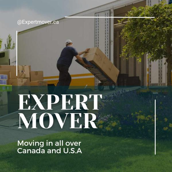 Expert Mover