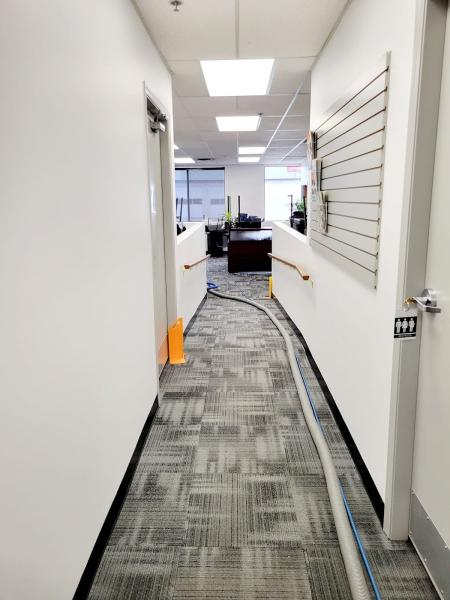 Absolute Carpet Care