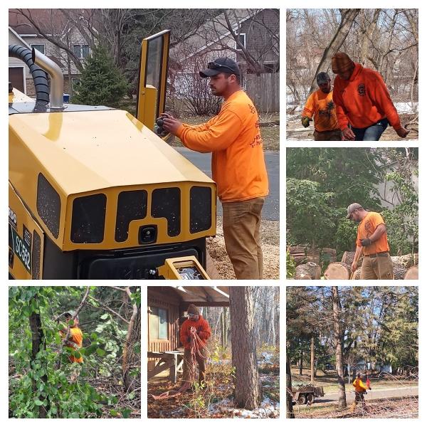 Above All Tree Service