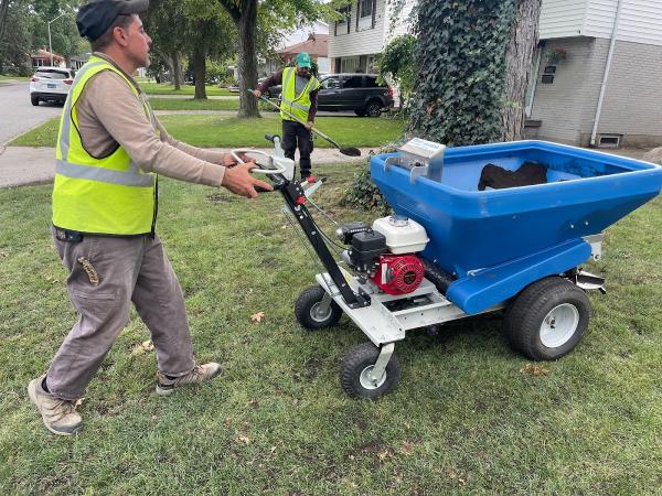 Windsor Topdressing