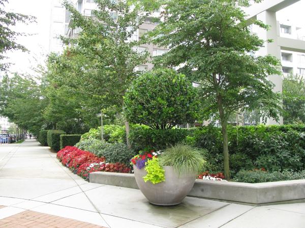 Para Space Landscaping Inc