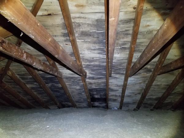 Elite Team Home Inspections