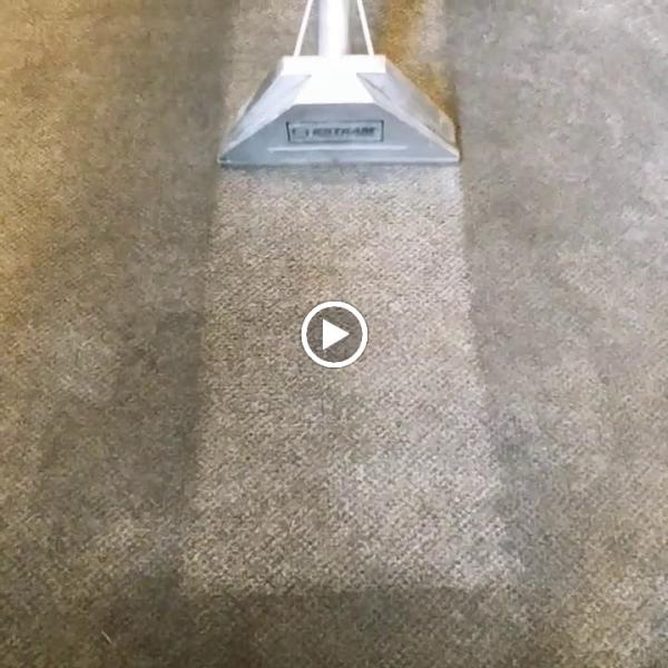 Adams Carpet Care