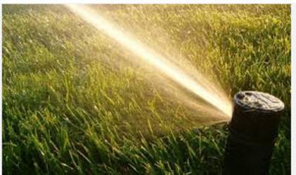 Mister Sprinkler Ltd