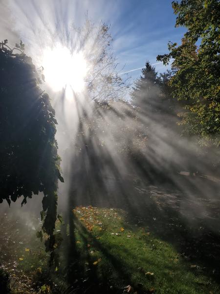 Pro-Tech Sprinkler Services