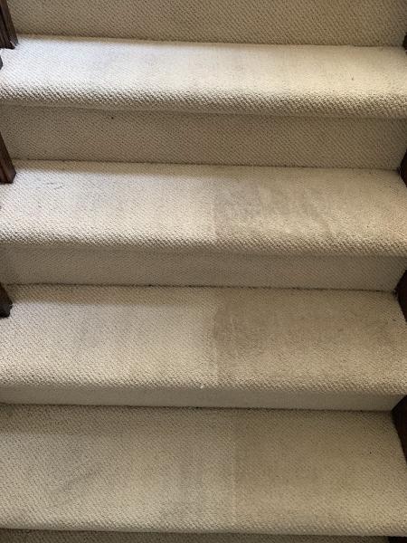 Excellent Carpet Cleaning