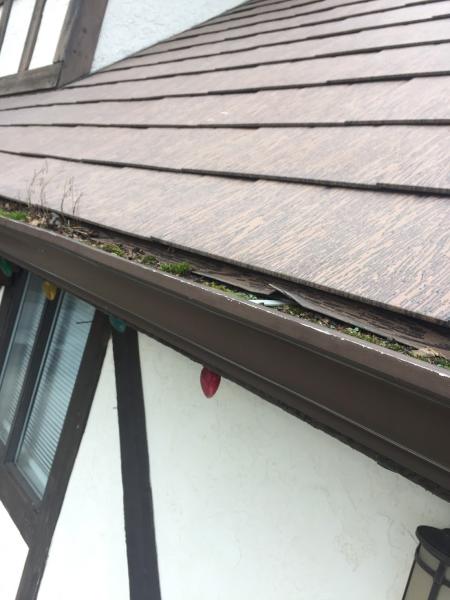 Mossaway Roof Moss Removal