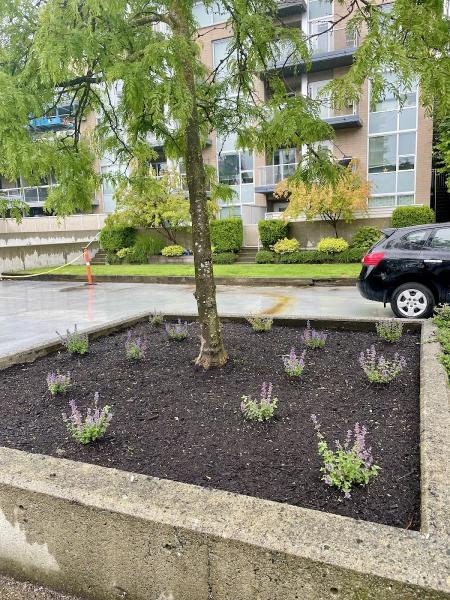 Eternal Spring Landscaping