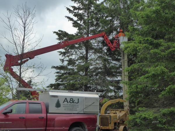 A&J Tree and Shrub Care Inc.