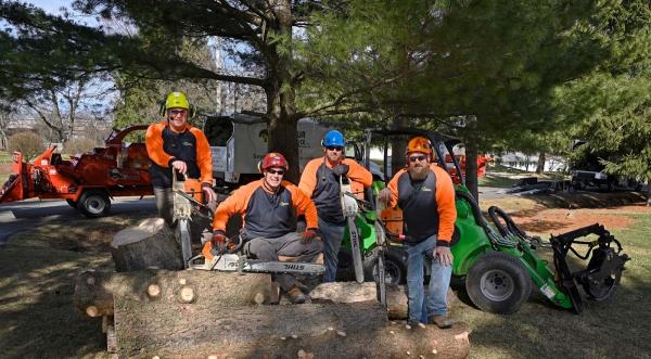 Kitchener Tree Removal