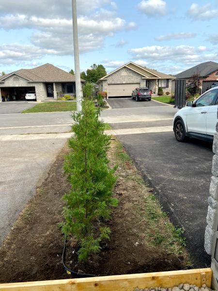 Matthysse Lawn Care & Landscaping