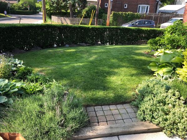 Mr. Mow It All Lawn Care and Snow Removal