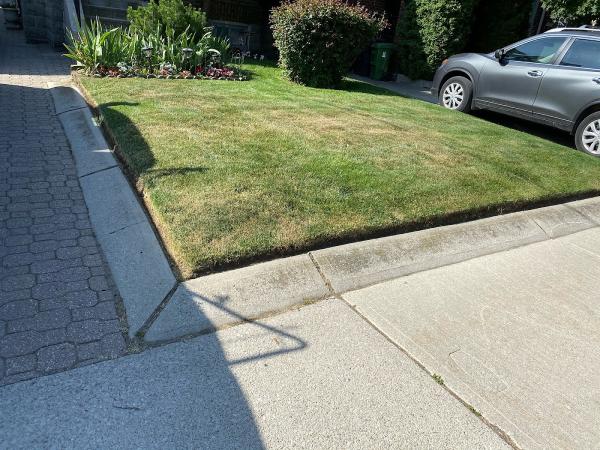 Mr. Mow It All Lawn Care and Snow Removal