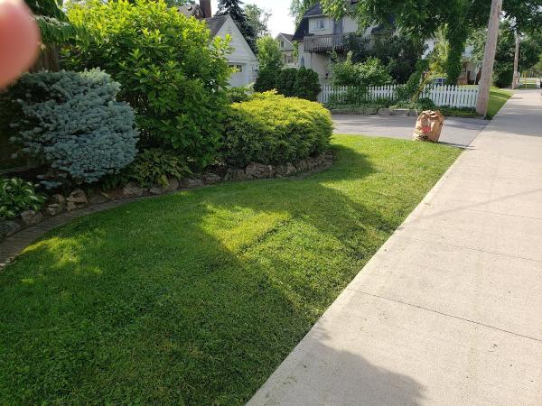Picture Garden Lawn Care