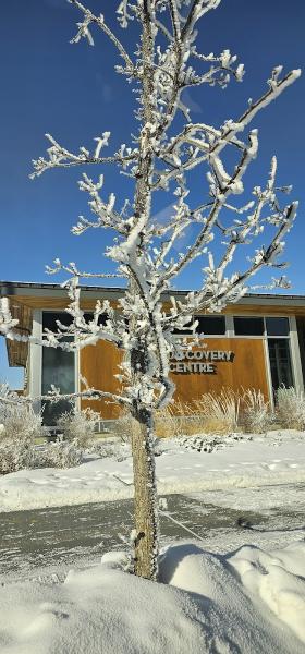 University District Discovery Centre