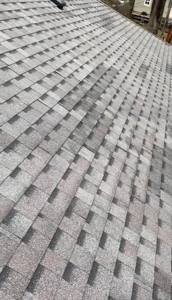 Abraham Roofing