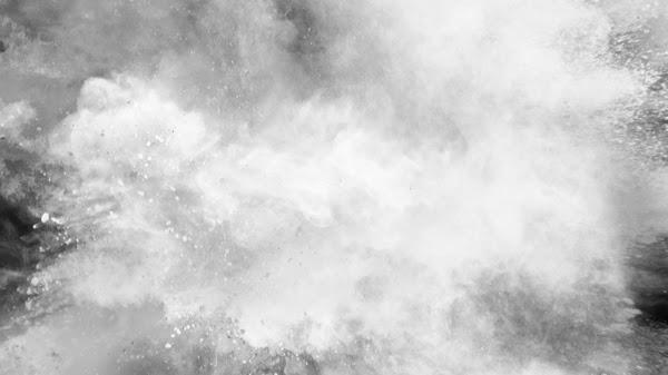 The Exterminators Inc. Pest Control