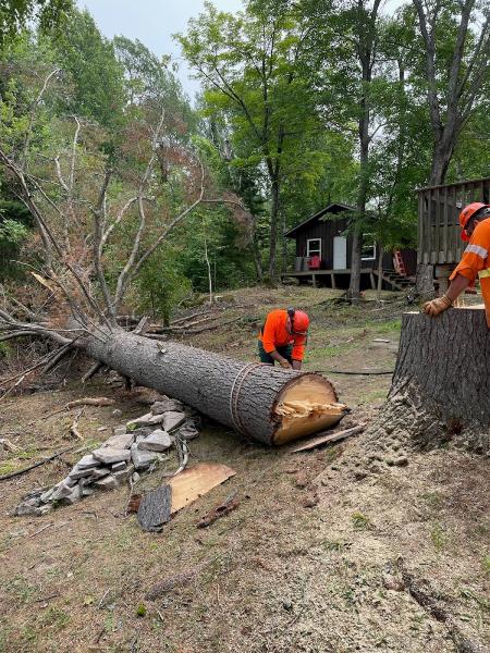 Arborworks Tree Service