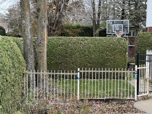 Taille de Haies Privé