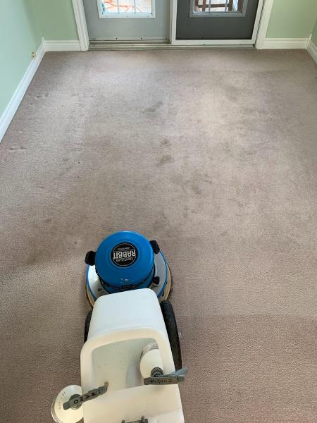 Anchor Carpet Care