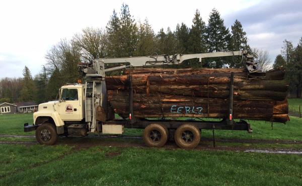 Whieldon and Son Logging Ltd