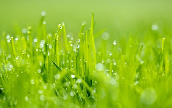 Green Unlimited