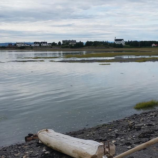 Roberto Ouellet Mini Excavation