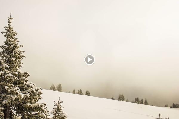 Mahbub Osmani Real Estate Team