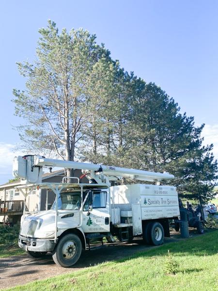 Specialty Tree Services