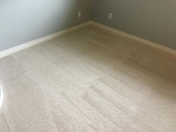 Fresh Now Carpet Care