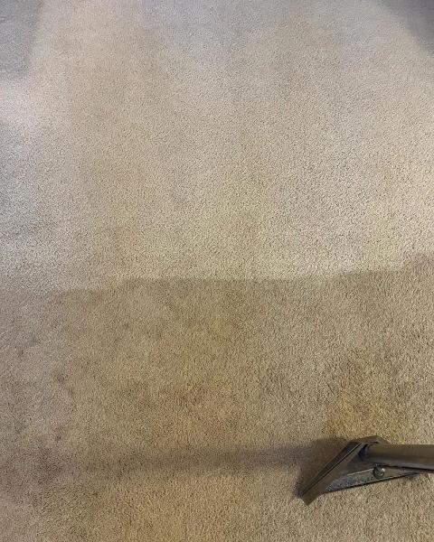 Fresh Now Carpet Care