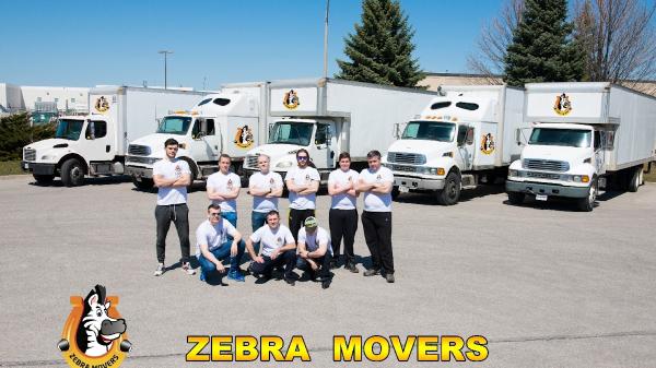 Zebra Movers Barrie