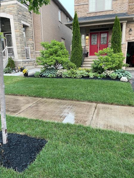 Mill Saint Landscaping