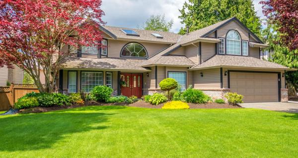 Terra Care Landscaping & Property Management LTD