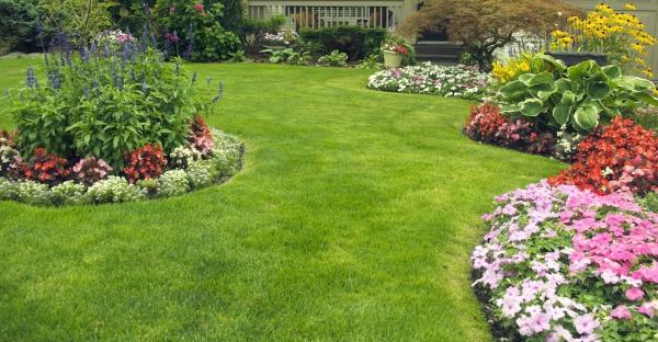 Terra Care Landscaping & Property Management LTD