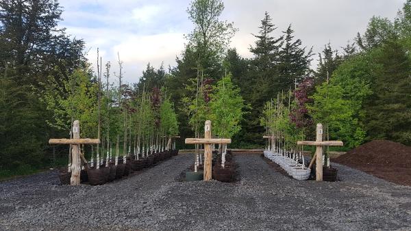 Weese Tree Preservation and Weese Nurseries