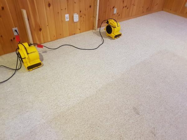 Deep Scrub Carpet & Upholstery Cleaning