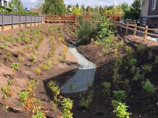 New Wave Earthworks and Landscaping
