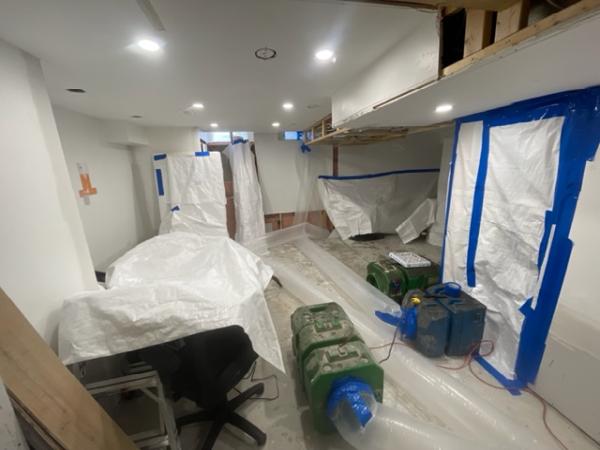 A1 Eco Mould Asbestos Removal