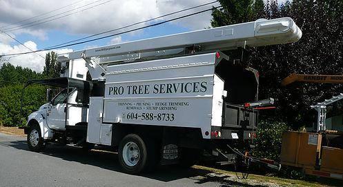 Pro Tree Services