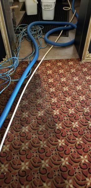 Do it All Carpet Cleaning