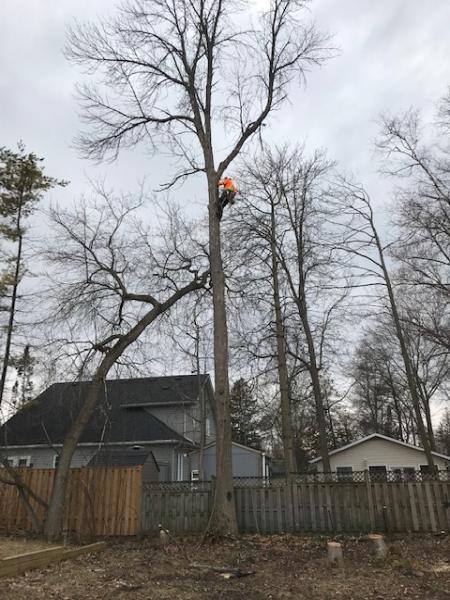 The Tree Fellers Inc.