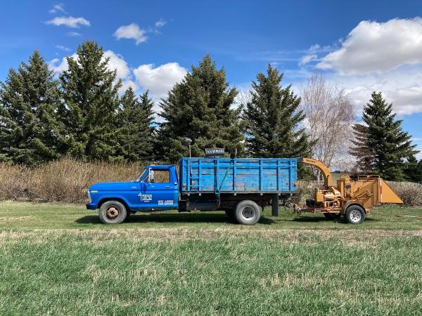 Tips Tree Service