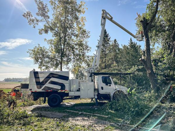 VS Tree Services