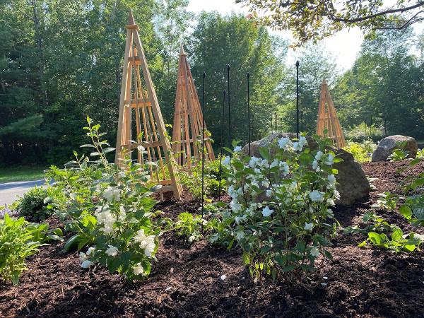 THE SHE Shed Home & Garden